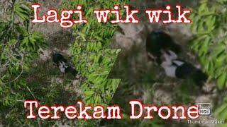 LAGI ASIK MAIN DRONE MALAH NEMU BOCIL SEDANG WIK WIK DI KEBUN #drone #kameradrone