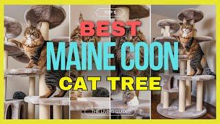  Best Cat Tree for Maine Coon in 2024 ️ TOP 5 ️