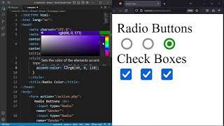 Customize Radio Buttons & Checkboxes: Change Colors with HTML and CSS Tutorial