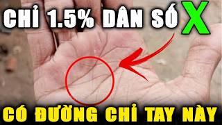 Người Có Dấu X Trên Tay: Kẻ Mang Sứ Mệnh Cao Cả Hay Kẻ Gánh Nghiệp Đời Đời?