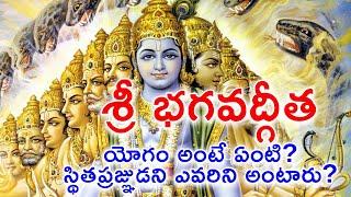 Bhagavad Gita | Chapter - 2  Sankhya Yogam | Meaning Of Yogam | Sthitaprajna Philosophy || NRIISM