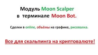 Модуль Moon Scalper и обновление 4.30 в Moon Bot