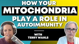 How Your Mitochondria Play A Role In Autoimmunity | Dr.Terry Wahls & Dr. Mindy Pelz