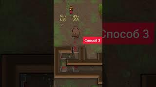 #rimworld #fyp #gaming #bear #beer