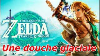 THE LEGEND OF ZELDA TEARS OF THE KINGDOM (Avis)