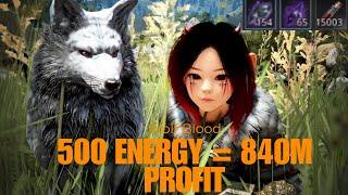 BDO Life Skill Gathering : Wolf Blood Guide - 500 ENERGY 840M PROFİT 2024