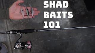 Some Of The Best Cold Water Baits To Fish?! Full Shad Bait Breakdown!