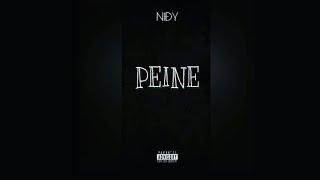 Nidy - PEINE