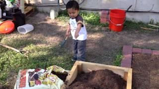 Kenai Helping in the Garden