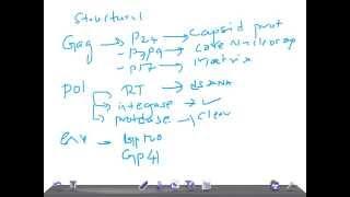 Medical Video Lecture: Structural genes of HIV, Microbiology