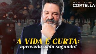 Mario Sergio Cortella - O Tempo e a Vida: Como aproveitar ao máximo cada momento