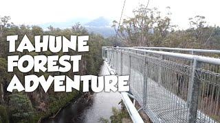 Tahune Forest Adventure | Airwalk | The road to recovery