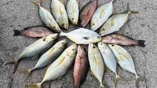 SURPRISE POMPANO! Bridge Fishing in the Florida Keys