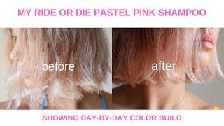 How I Dye/ Maintain My Pastel Pink Hair with Viral Colorwash Shampoo - 5 Day Progression :)