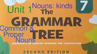 Nouns: kinds pg#2 | Grade 7 Oxford Grammar tree| Lesson 1| common noun and proper noun with detail