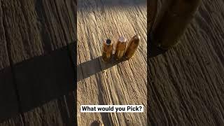 Hollow Point Flat Tip Or FMJ?