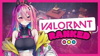【 VALORANT 】Ranked Before the New Act! Solo Queue【 VOLS 】