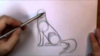 How to draw a Wolf howling