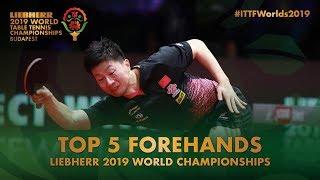 Top 5 Forehand Shots | Liebherr 2019 World Table Tennis Championships