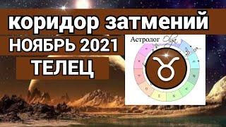 ️ ТЕЛЕЦ ПЕРЕМЕНЫ! КОРИДОР ЗАТМЕНИЙ - гороскоп НОЯБРЬ 2021, Астролог Olga.