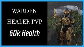 ESO PvP Warden Tanky Healer Build + Gameplay