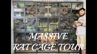 Critter Nation Rat Cage Tour | Bioactive Rat Cage | Massive Rat Mansion