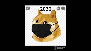 doge evolution 2010-2020