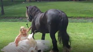 VERY BAD ANIMALS - Funny unexpected moments