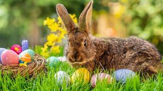 Easter Traditions. ESL/ESOL/EFL | English Portal