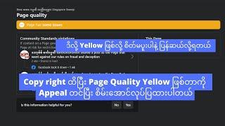 How to fix Page has some issues ! Page quality yellow to green