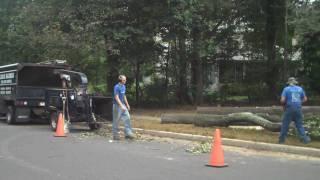 Chris Orser Landscaping; Tree Clean up 215-249-1236