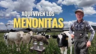 "UN RECORRIDO POR EL CAMPO MENONITA DE LA LAGUNA DE VALDERRAMA SOMBRERETE"