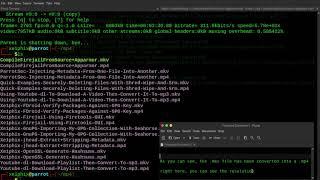 Converting mkv Into mp4 With FFMpeg Using Parrot Linux