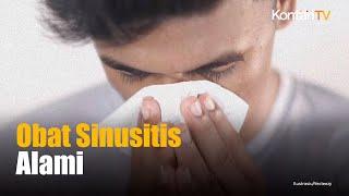 Obat Sinusitis Alami yang Ampuh dan Aman Dikonsumsi | Info Sehat