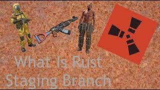 Simple | What Is Rust Staging Branch?