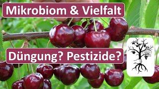 Gesundes Obst - worauf es wirklich ankommt! Mikrobiom fördern durch regenerative Landwirtschaft