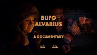 Bufo Alvarius  - A Short Documentary Film