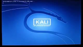 Установка Kali Linux с флешки