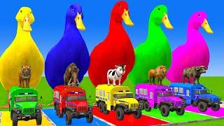 5 Giant Duck Cartoon,Cow,Mammoth,Tiger,Lion,Dinosaur,Paint Wild Animals Crossing Fountain Animation