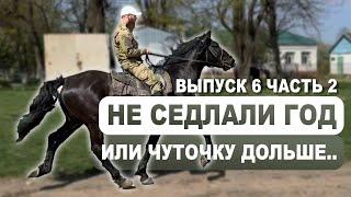 Выпуск 6.2 - нашли лошадей на Кавказе | Подбор | Александр Обжерин