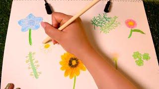 SUB | ASMR Looking at the pretty plants in early summer  drawing with crayons 