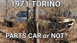 We found another 71 Torino! What to do?