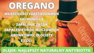 Oregano- najlepszy naturalny antybiotyk. Jakie cuda sprawia olejek oreganowy? Dowiesz się już dziś