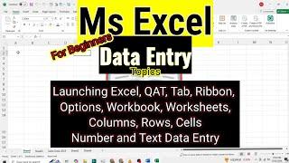 Ms Excel Data Entry Full Course Tutorial | For Beginners | Text and Numbers