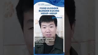 Demi Konten, Food Vloger di China Blender Anak Kucing Hidup-hidup, Warganet Geram Kecam Aksi Pelaku