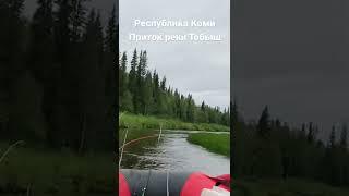 Приток реки Тобыш, республика Коми  Рыбалка