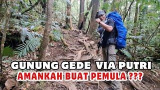 Pendakian Gunung Gede pangrango via putri Cocokkah untuk pemula??