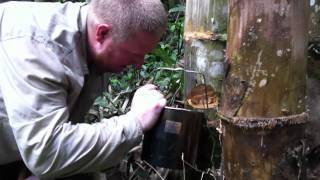 Finding pure drinking water in the jungle