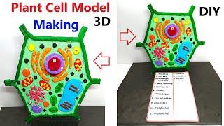 plant cell model making (3d) for science project exhibition - biology project - diy | craftpiller