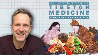 An Introduction To Traditional Tibetan Medicine | A Neuroscientist’s POV